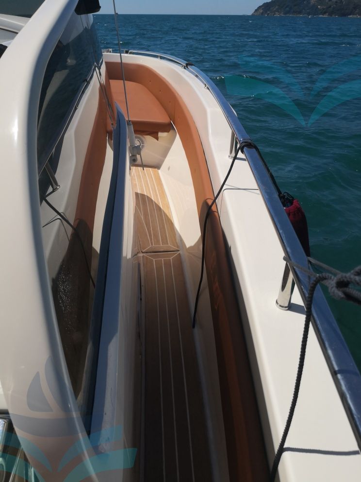 IGUANA 36