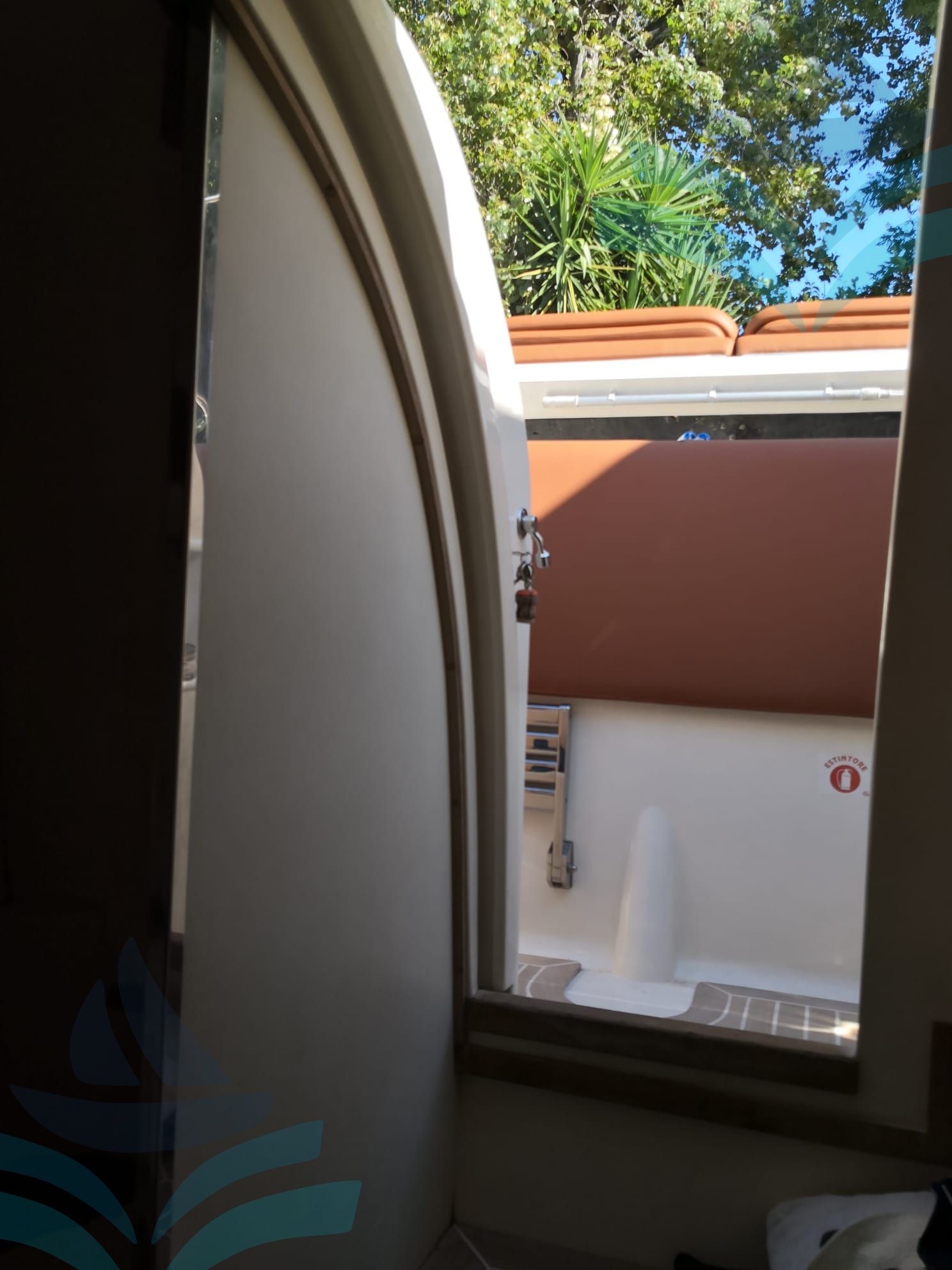 IGUANA 36
