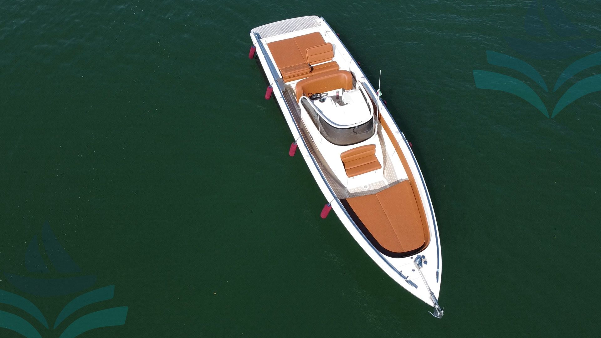 IGUANA 36