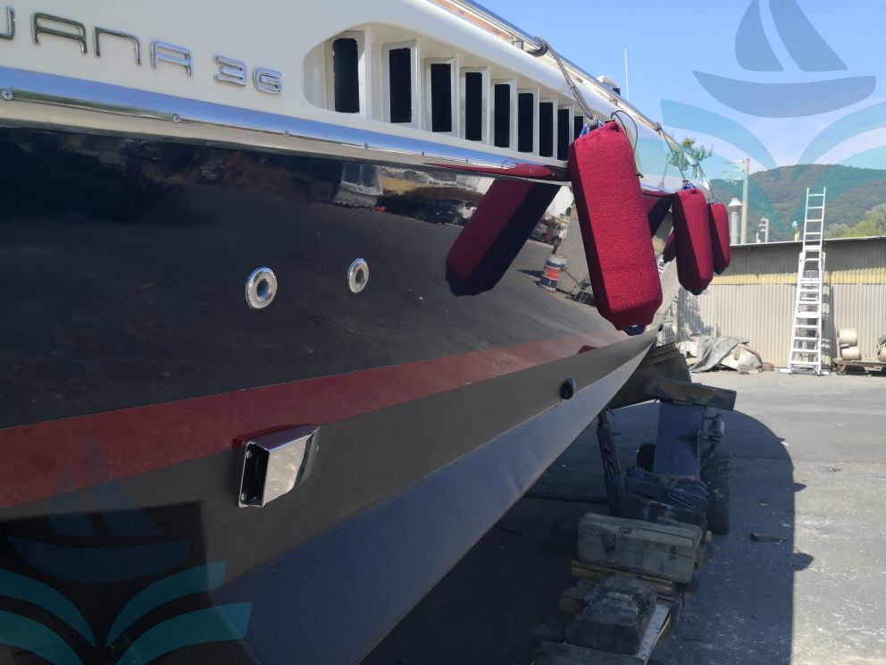 IGUANA 36