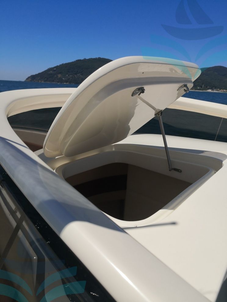 IGUANA 36