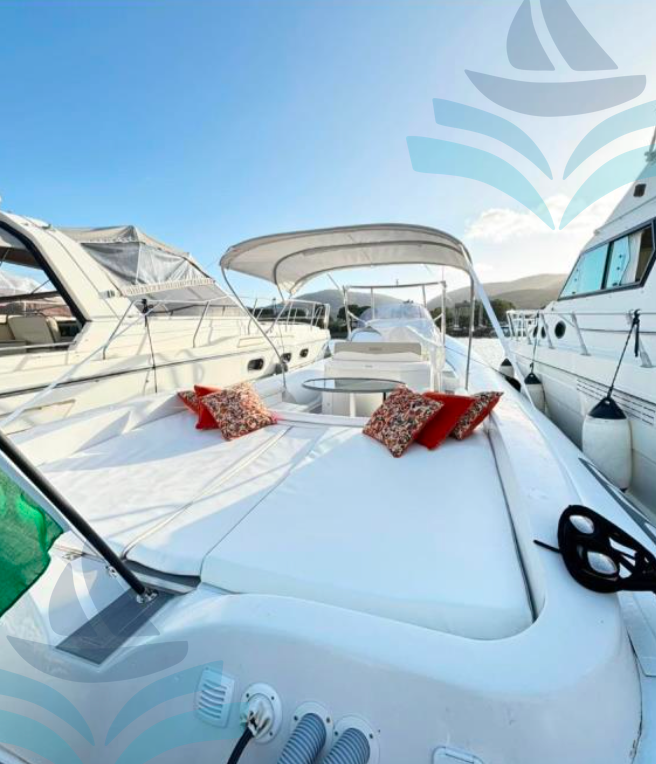 SACS STRATOS 42 