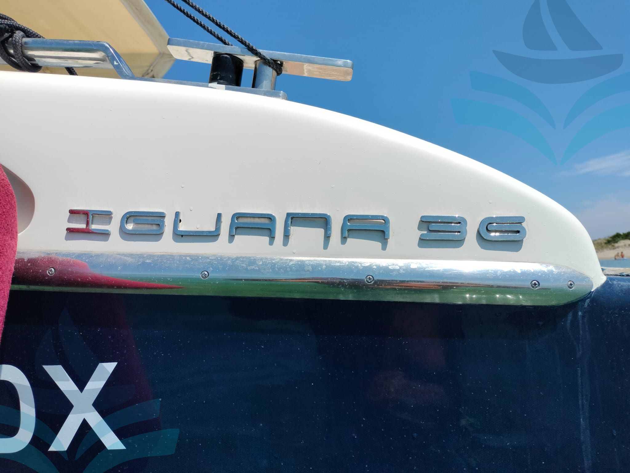 IGUANA 36
