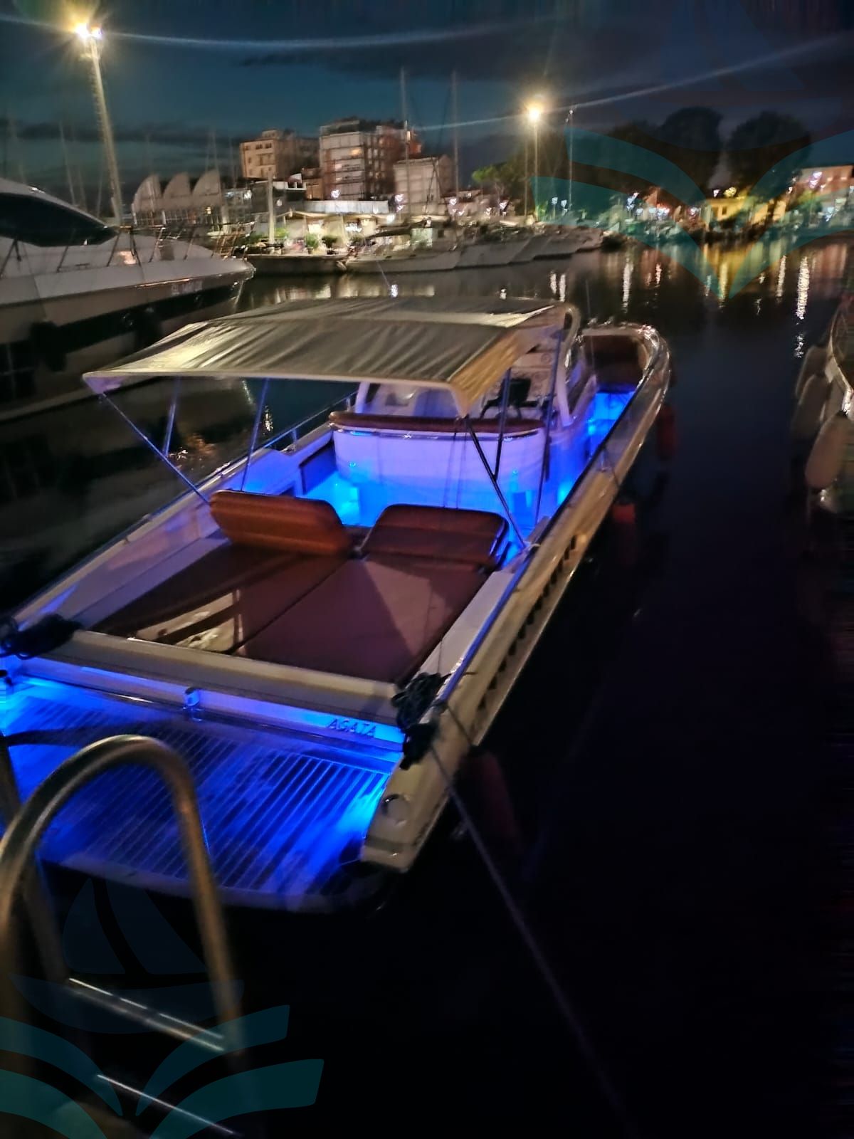 IGUANA 36