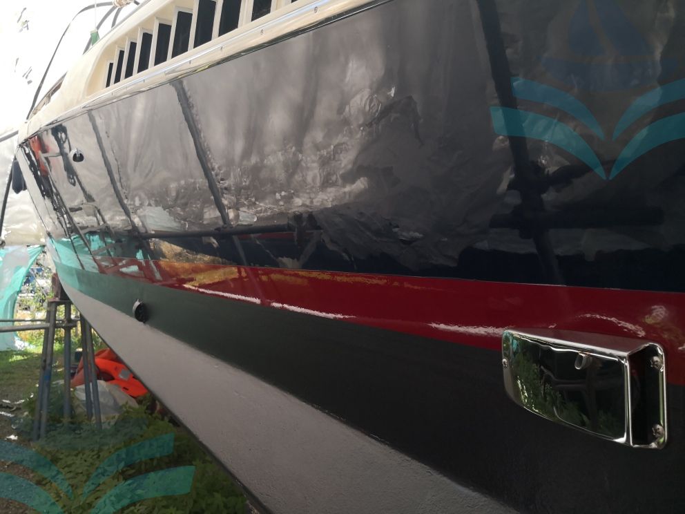 IGUANA 36