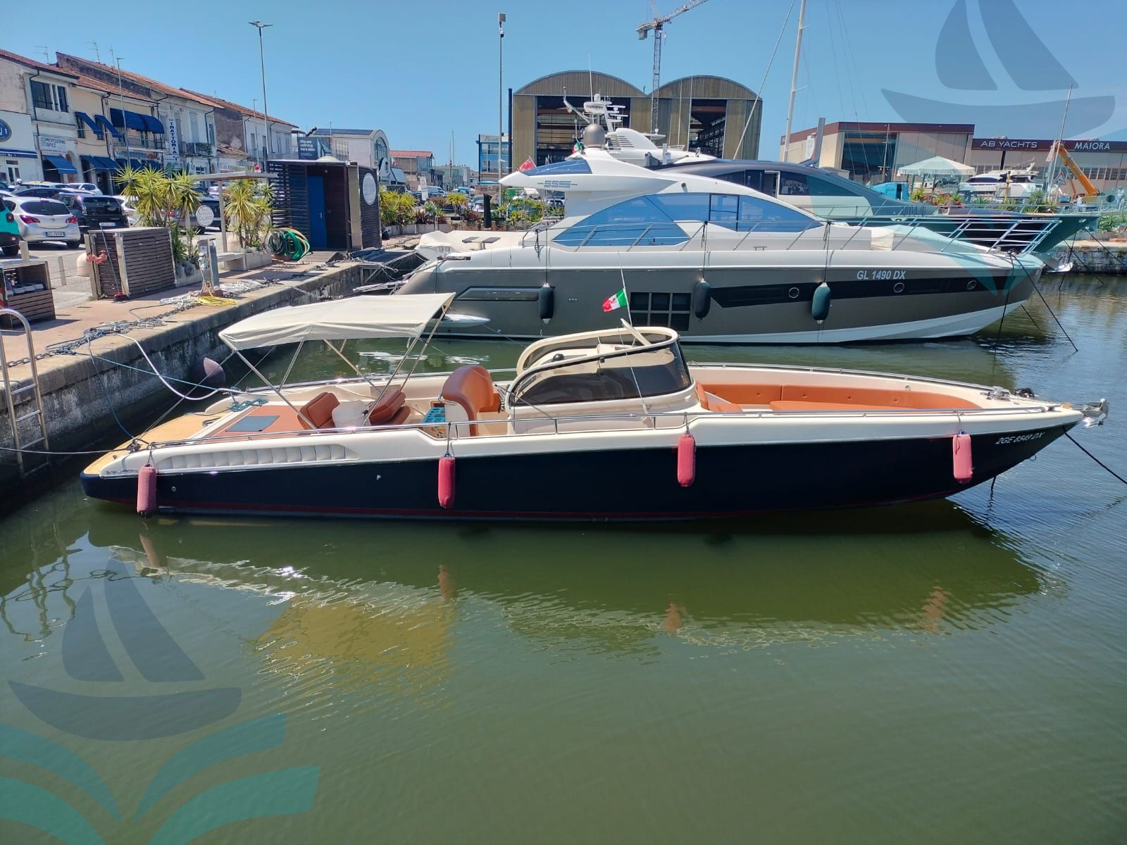 IGUANA 36
