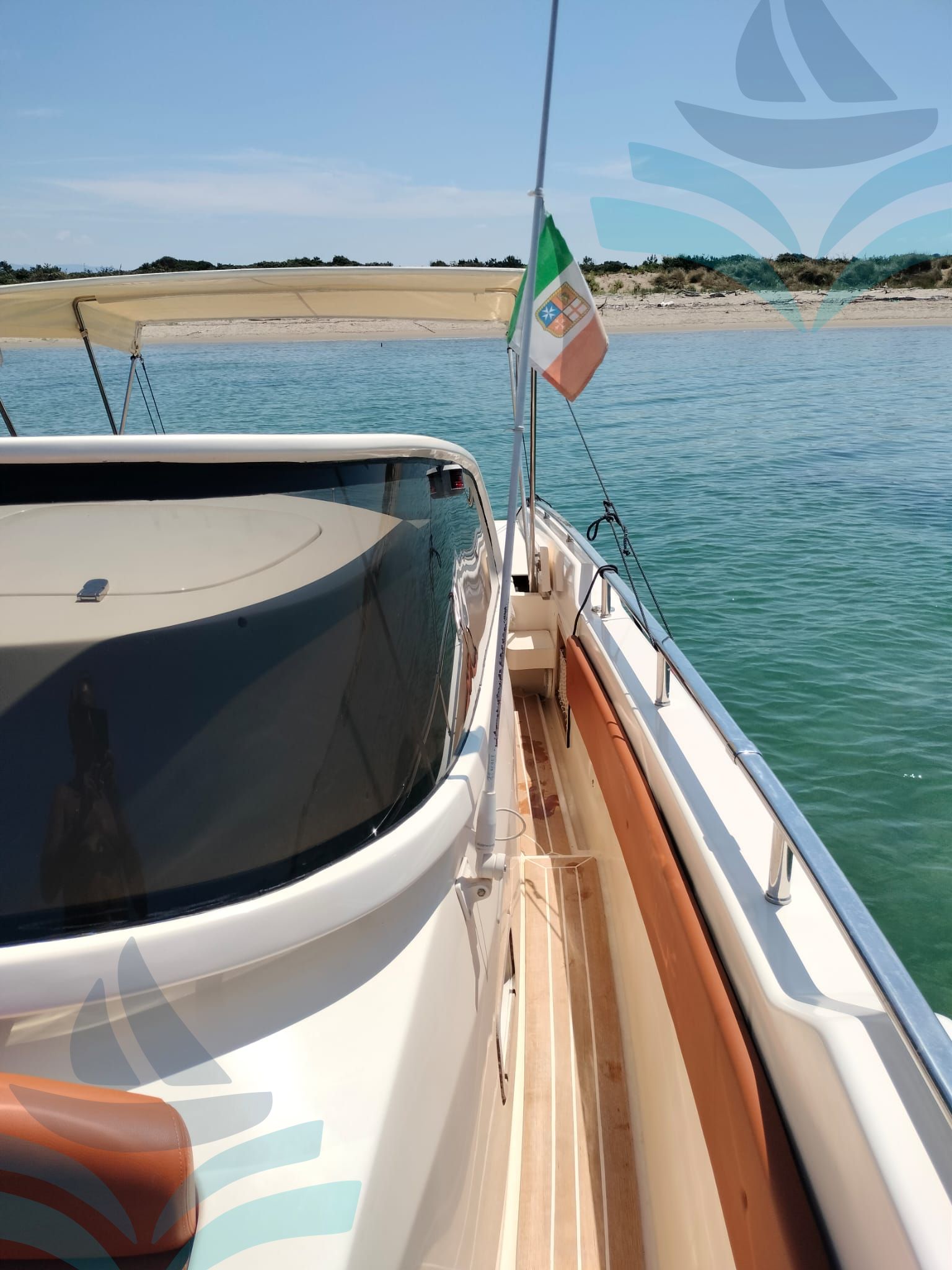 IGUANA 36
