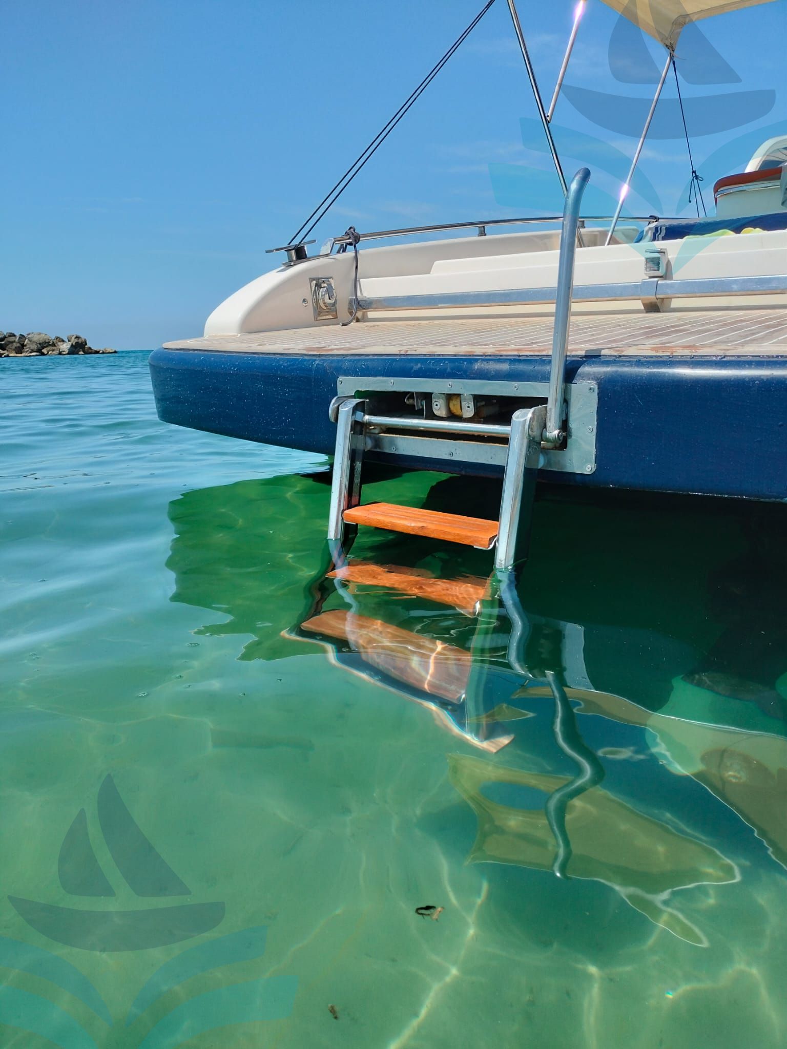 IGUANA 36