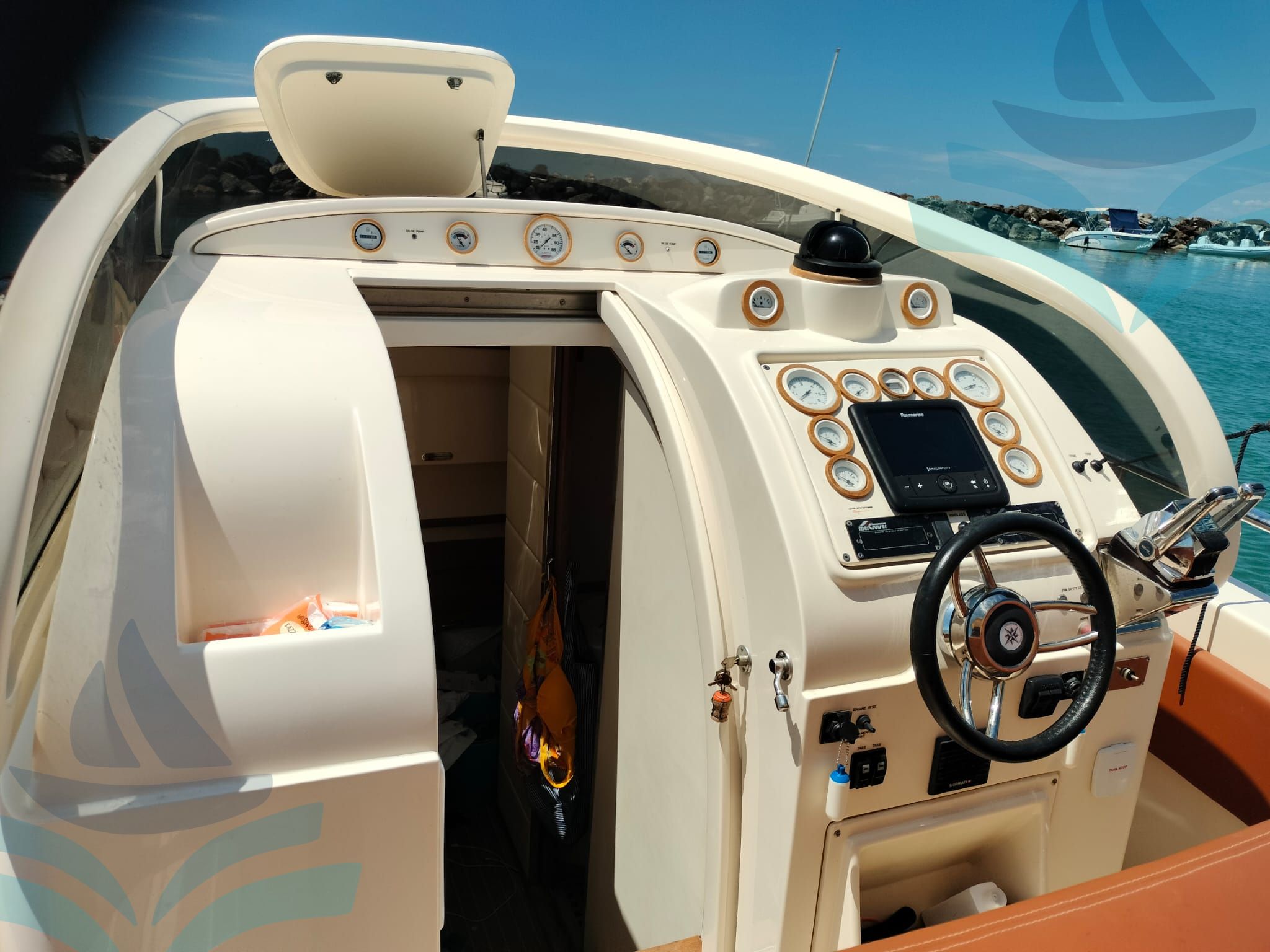 IGUANA 36
