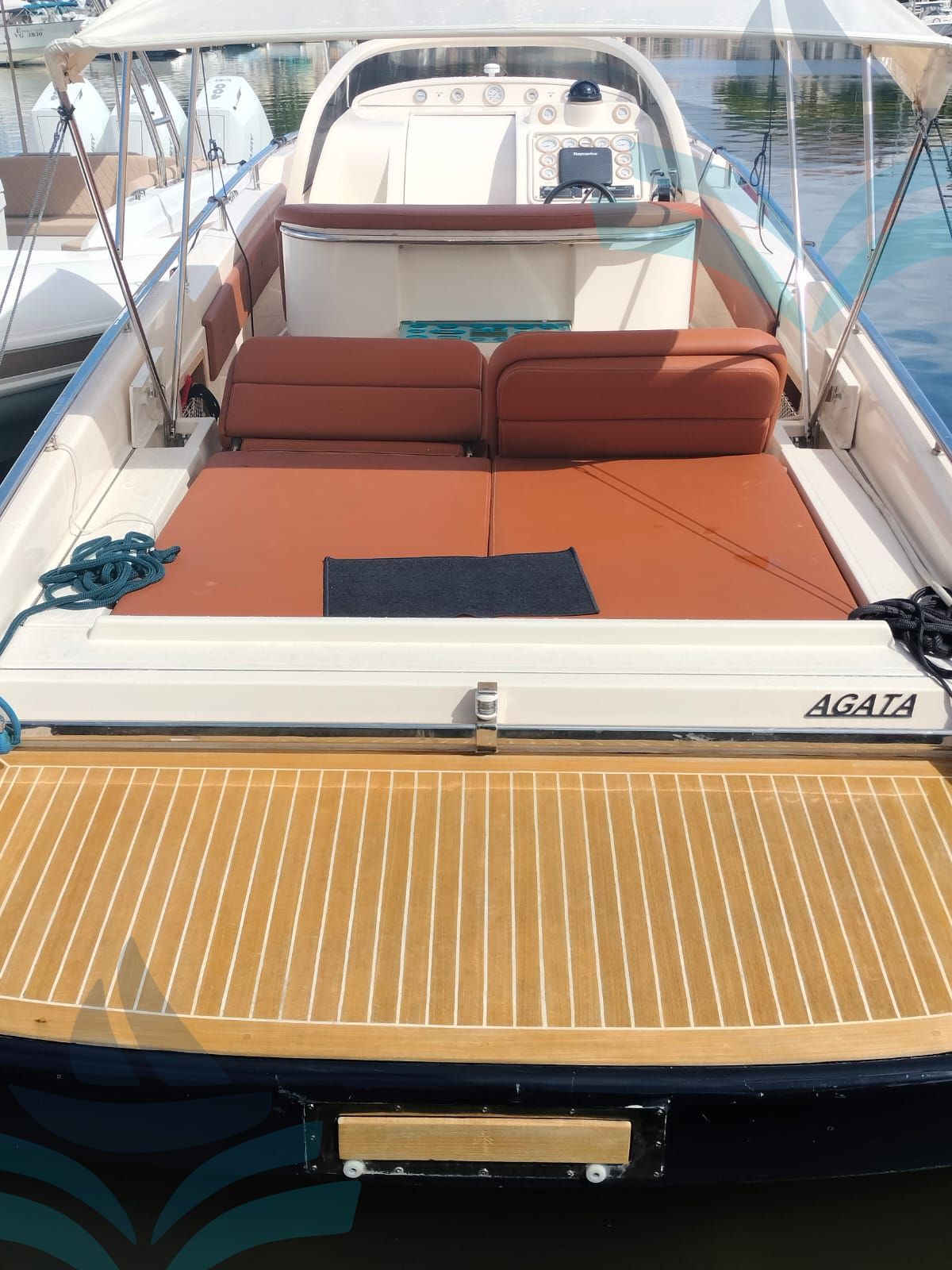IGUANA 36