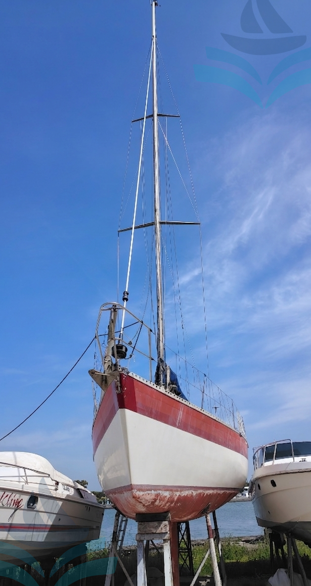 Polaris 37