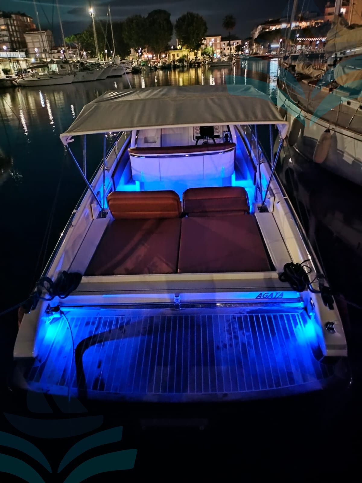 IGUANA 36