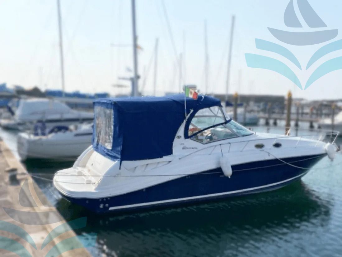 Sea Ray Sundacer 375
