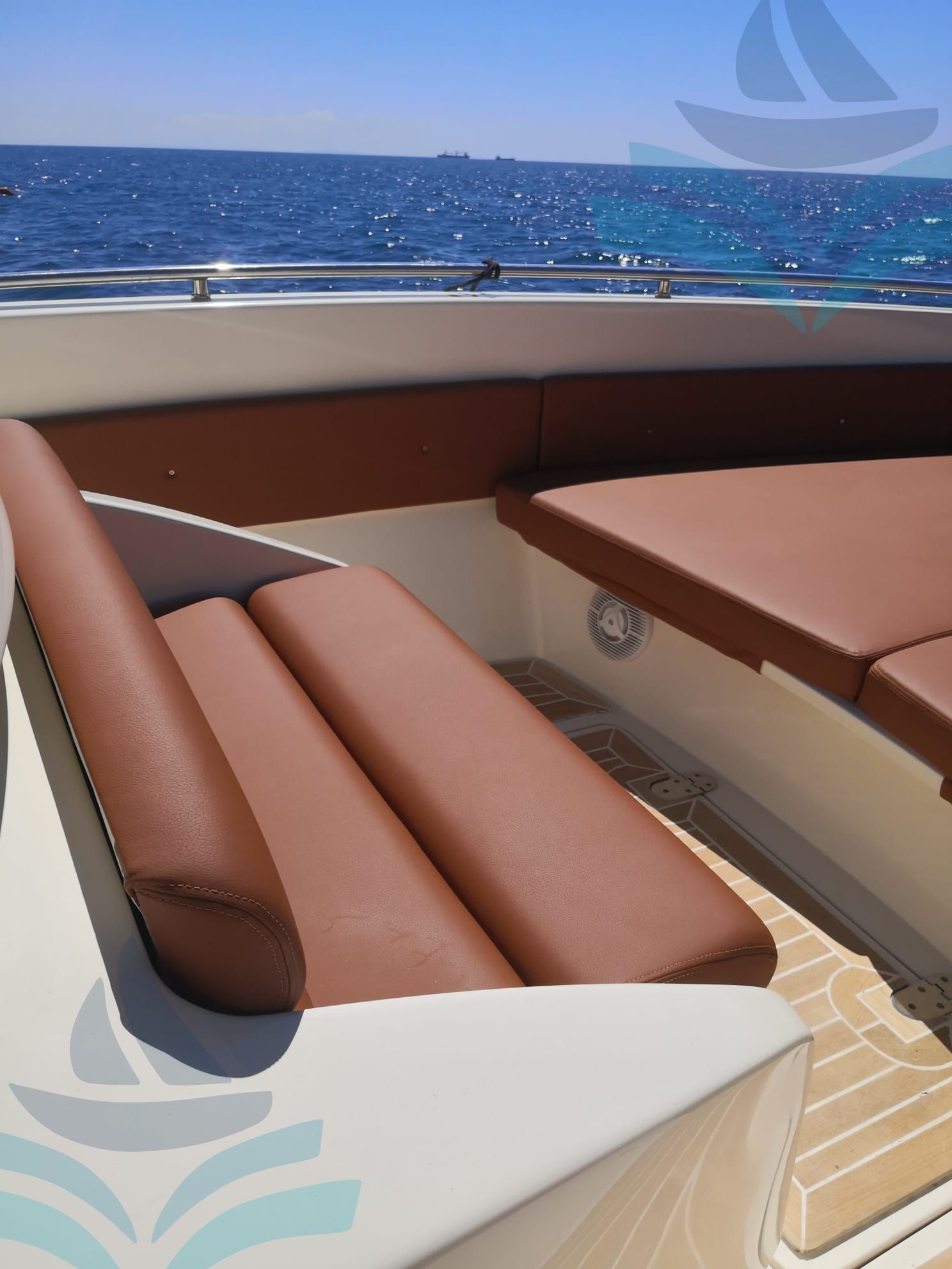 IGUANA 36