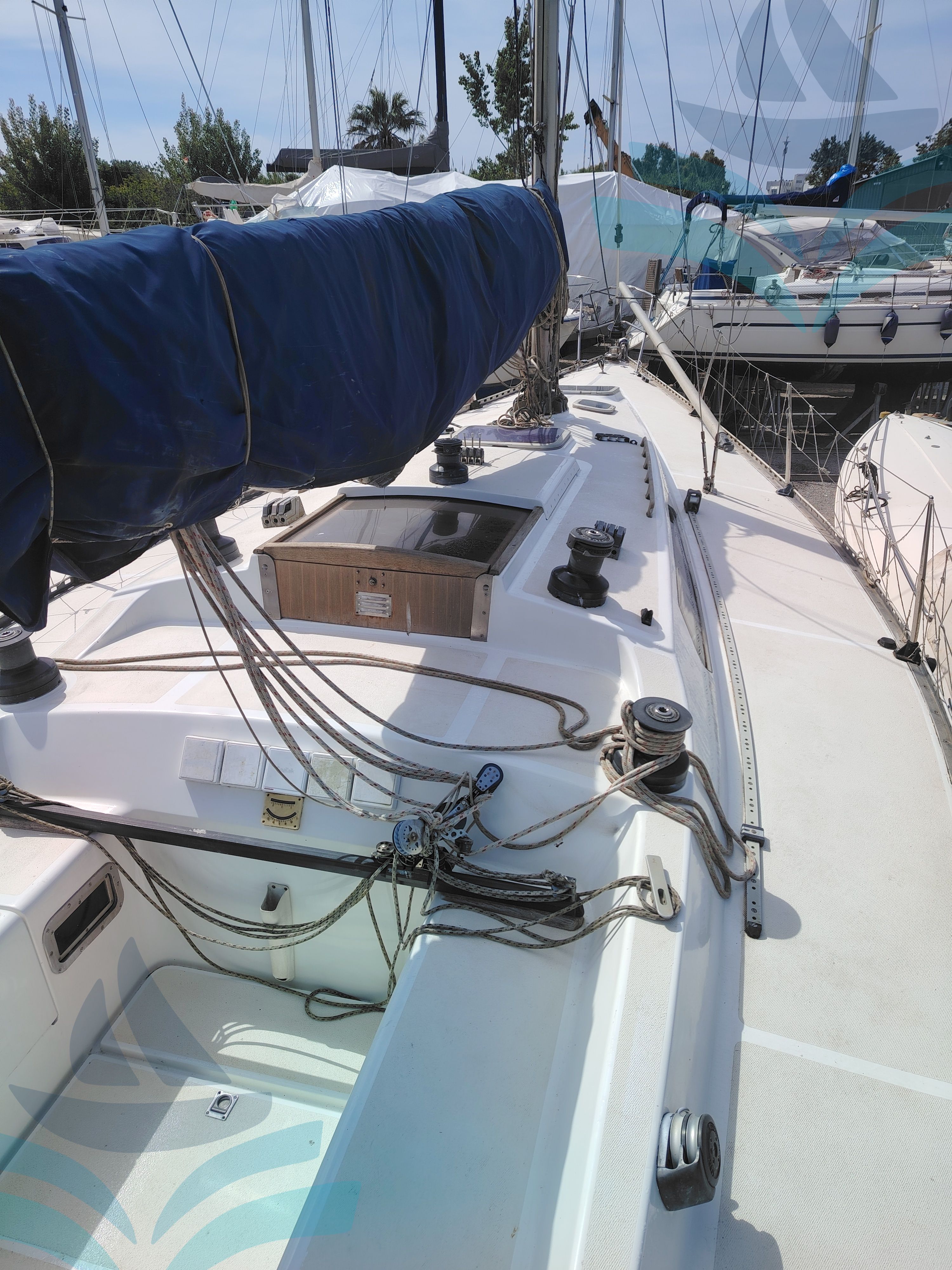 Polaris 37